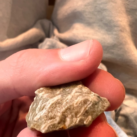 Fossilized Coral Stone - Picture 3 of 3